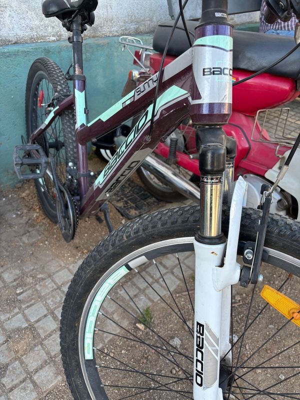 Bicicleta Baccio - Venta en Subasta - imagen 1