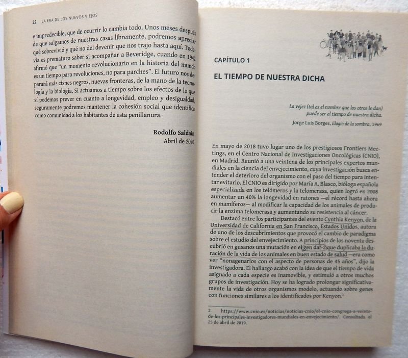 Item 853819 - Image 4