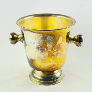 Lote anterior: Champagnera de 19 cm