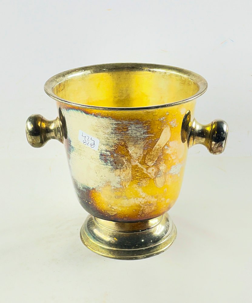 Champagnera de 19 cm