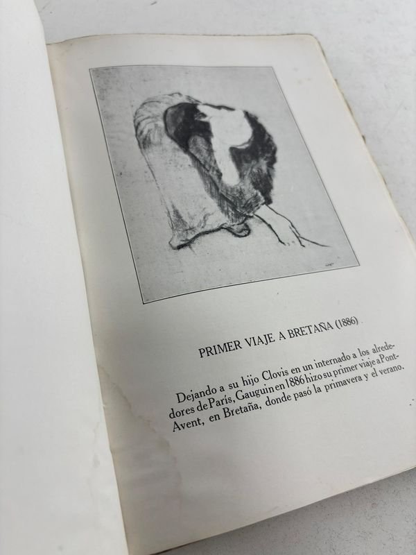 Edición ilustrada de arte y vida de Pablo Gauguin - imagen 3