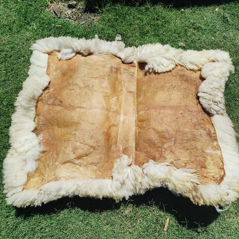 Item 869969 - Image 0