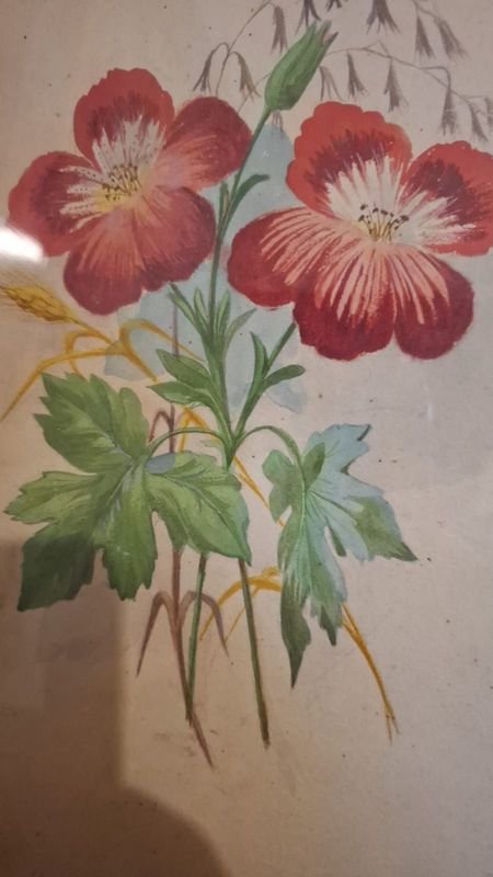 Item 856349 - Image 1