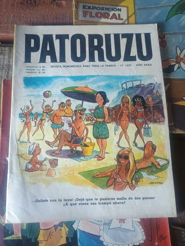 Paturuzu de los años 60 en venta - imagen 3
