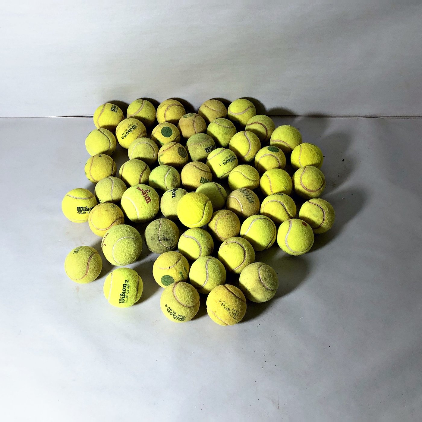 Lote de 50 Pelotas de Tenis Wilson