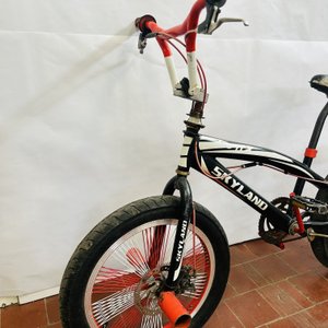 Bicicleta Skyland Rodado 20 con Detalles - imagen 2