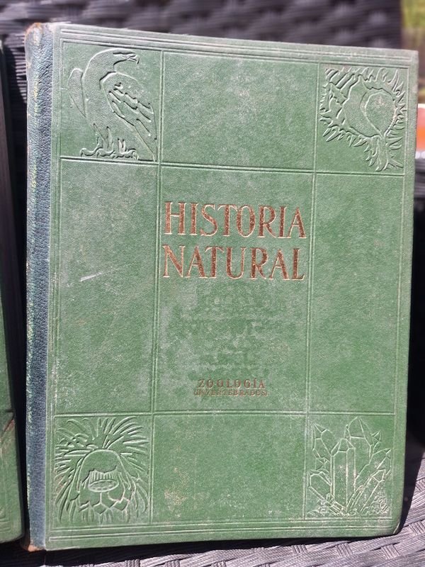 Item 878762 - Image 0