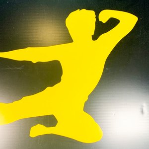 Cuadro Estampado Personajes Artes Marciales Amarillo y Negro 100x100 cm - imagen 2