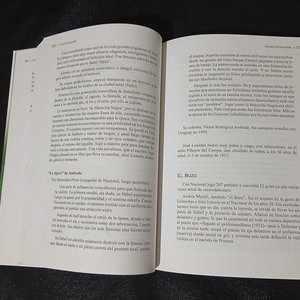 Libro "Héroes de Nacional" de Gerardo Bassorelli - Historia y Anécdotas - imagen 2