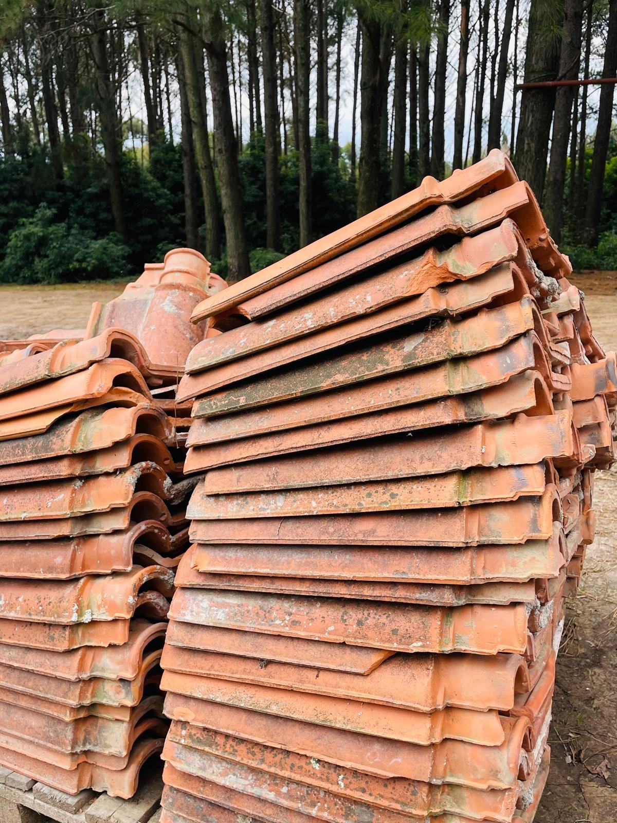 Item lote-x350-tejas-aprox - Image 1