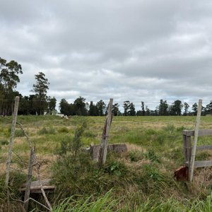 3 Fracciones de Campo en Capilla de Cella - imagen 2