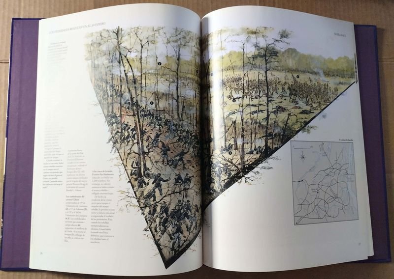 Item 887844 - Image 4