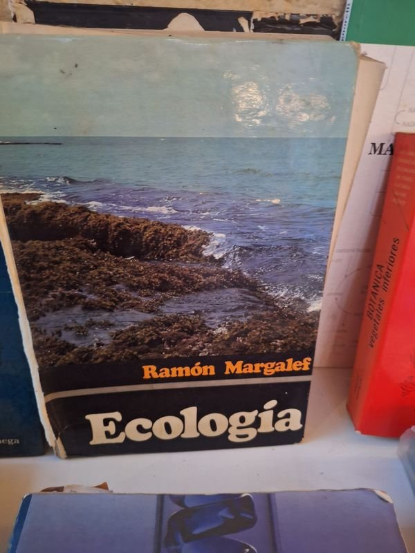 Item 870068 - Image 1