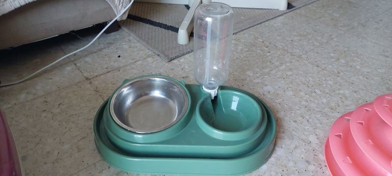 Comedero y vebedor para mascota - Accesorios para mascotas - imagen 2