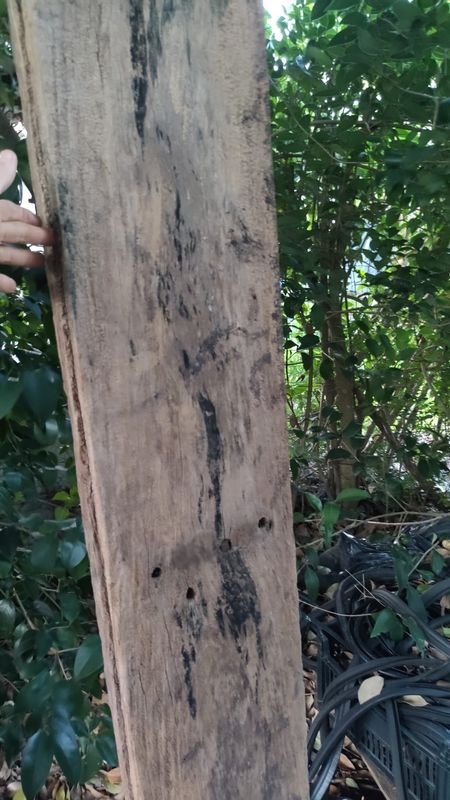 Item 880474 - Image 1