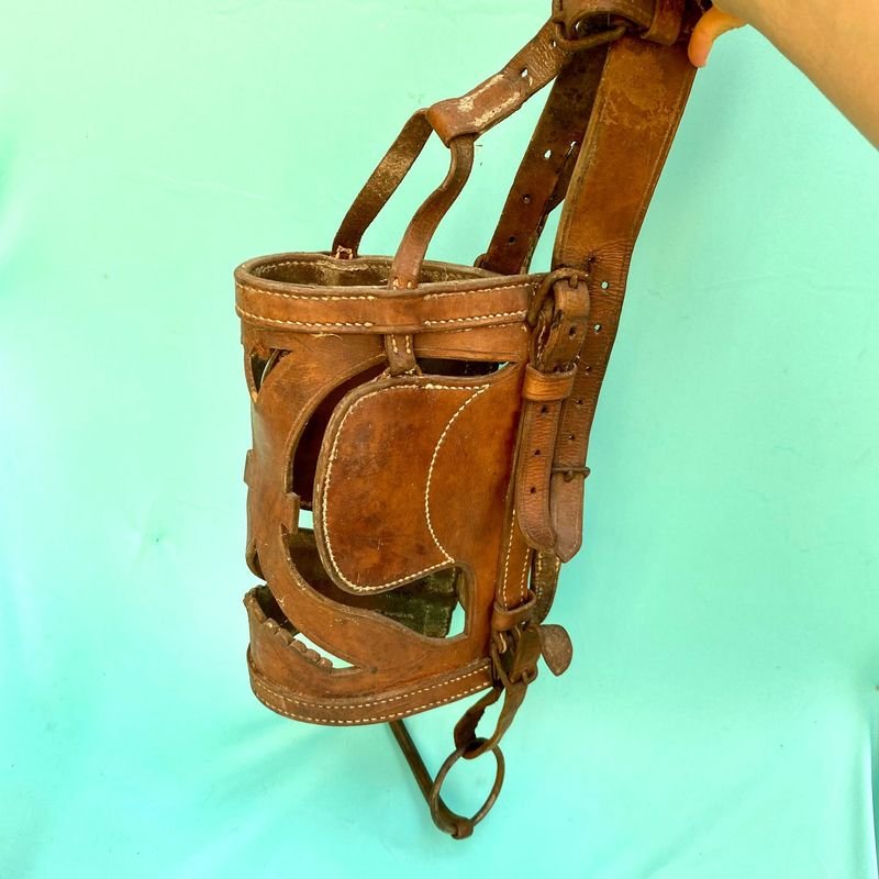 Item 868269 - Image 0