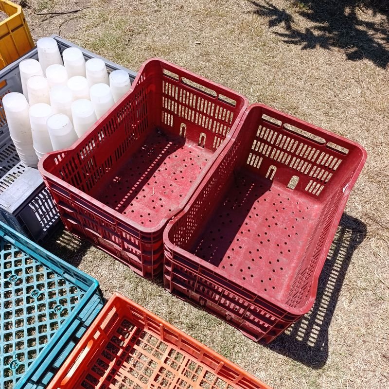 Plásticos descartables y contenedores para vasos - imagen 2