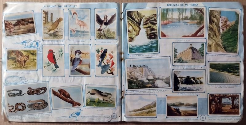 Álbum de Figuritas Completo: Mi Tierra en Imágenes - imagen 8