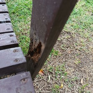 Par de Sillas de Jardín Adirondack de Madera Estilo Rústico - imagen 7