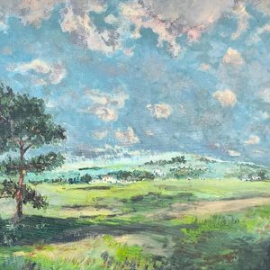 Oleo sobre Fibra "Efecto de Tormenta" - Paisaje Natural con Marco y Certificado - imagen 4