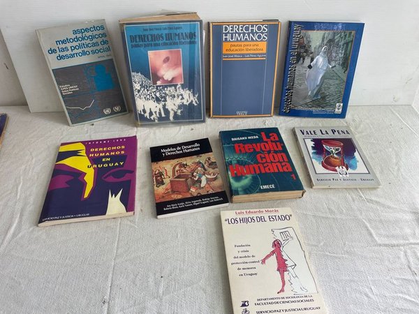 Lote de Libros sobre Derechos Humanos - imagen 1
