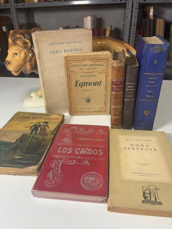Lote anterior: Novelas Antiguas y Figuritas Cerámicas