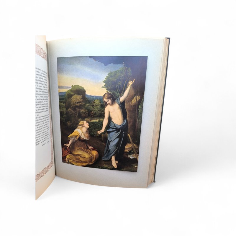 Dos libros de arte editorial labor con laminas a color - imagen 6