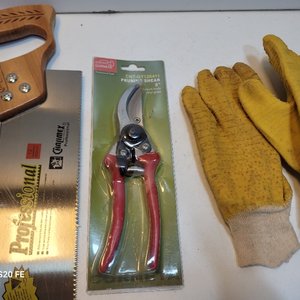 Set de Jardinería: Serrucho, Tijera de Poda y Guantes - imagen 5