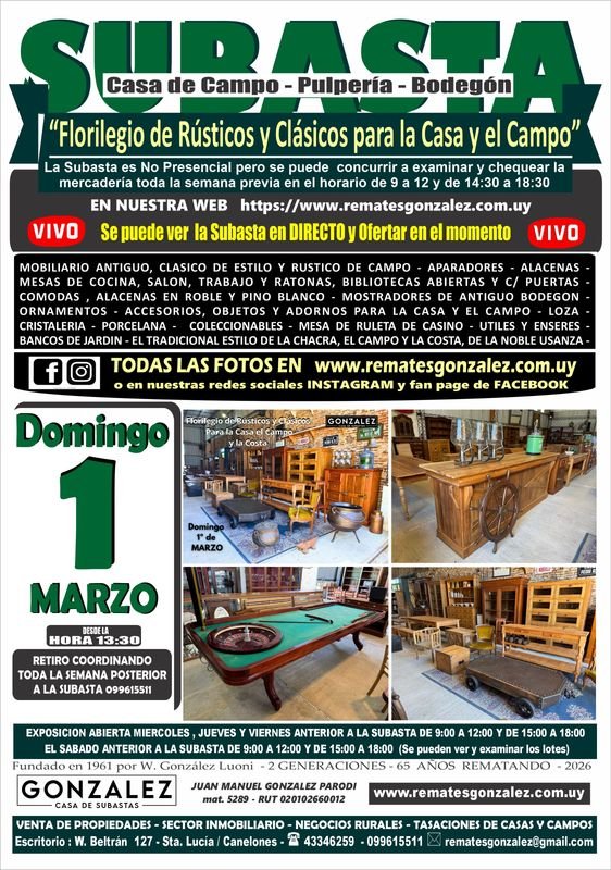 Antigüedades y Muebles Antiguos para la Decoración del Hogar - imagen 1