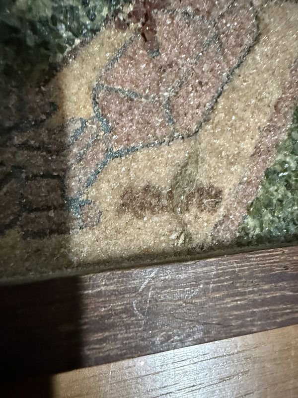 Item 876015 - Image 4