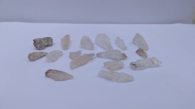 Item 883517 - Image 0