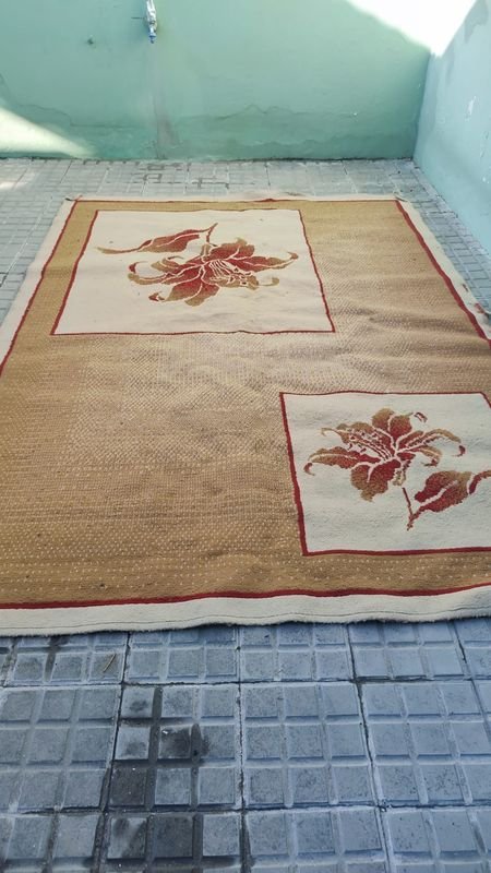 Item 869970 - Image 3