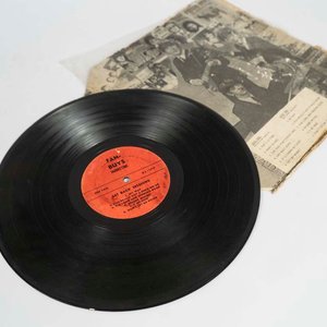 Disco de Vinilo LP The Beatles - Fan Buys Marketing (Rarísimo) - imagen 2