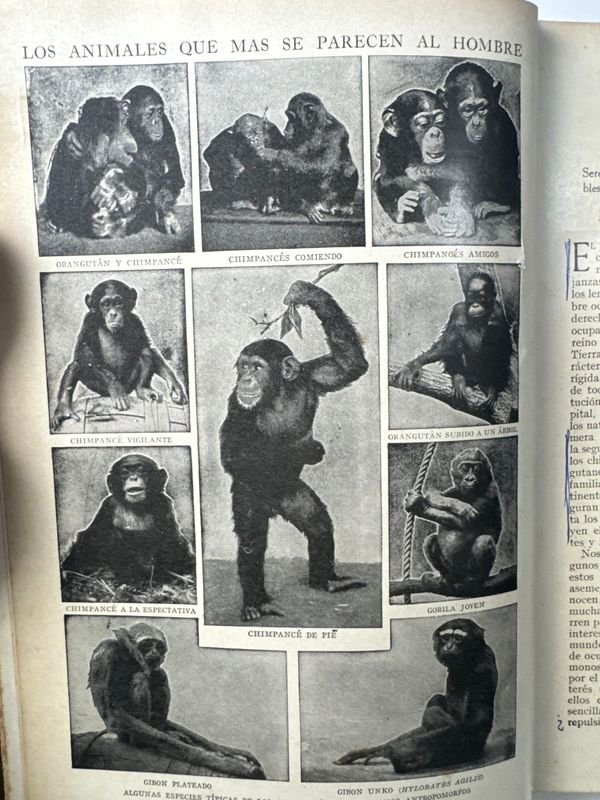 Libros de educación y arte para niños - imagen 6