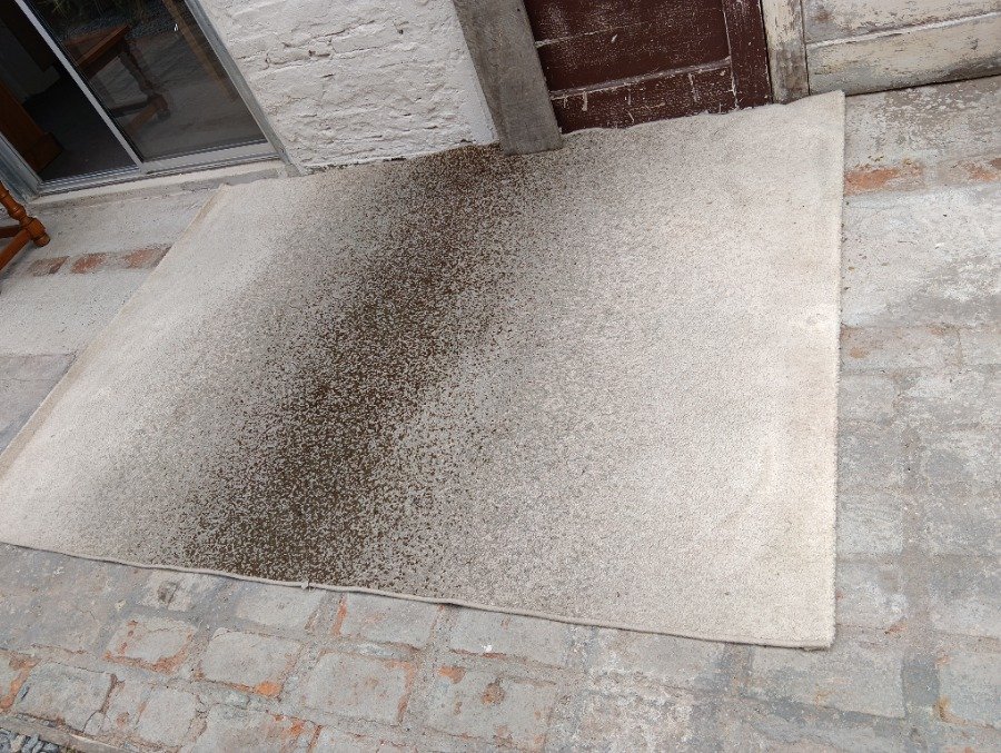 Alfombra en buen estado para decorar tu hogar - imagen 2