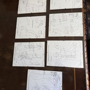 Lote de 7 Láminas Ilustradas de Meridianos y Puntos de Acupuntura - imagen 12