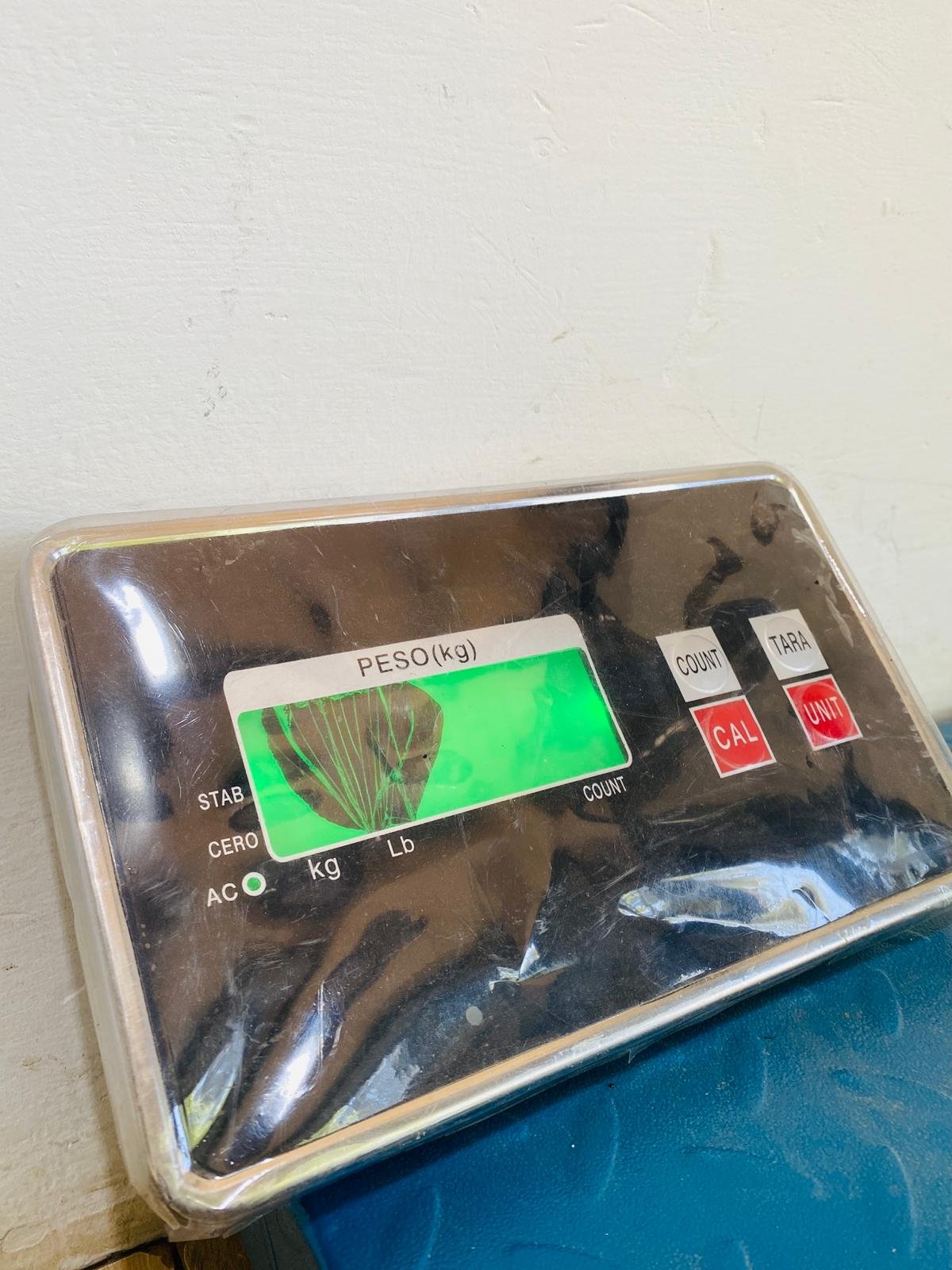 Item balanza-digital-hasta-300-kg - Image 1