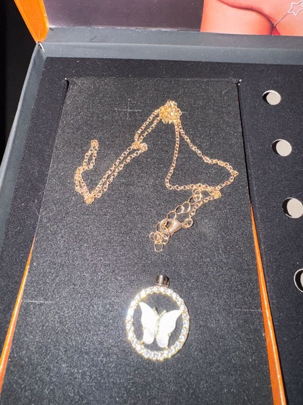 Collar con Dije de Mariposa y Circones