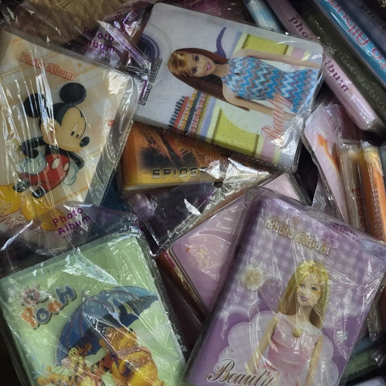 Colección de álbumes de fotos en buen estado - imagen 2