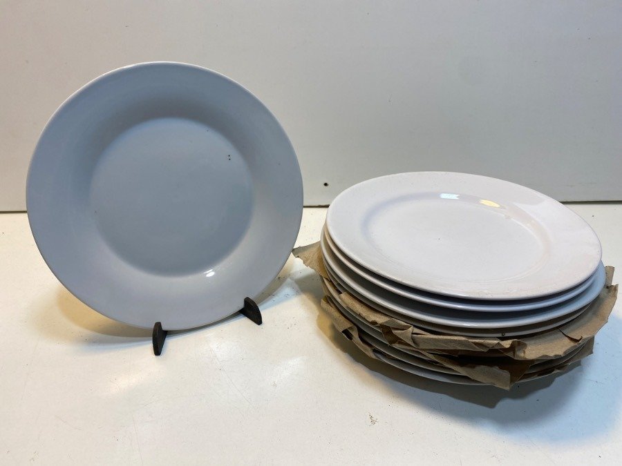 Lote de 10 Platos Lisos de Loza Blanca