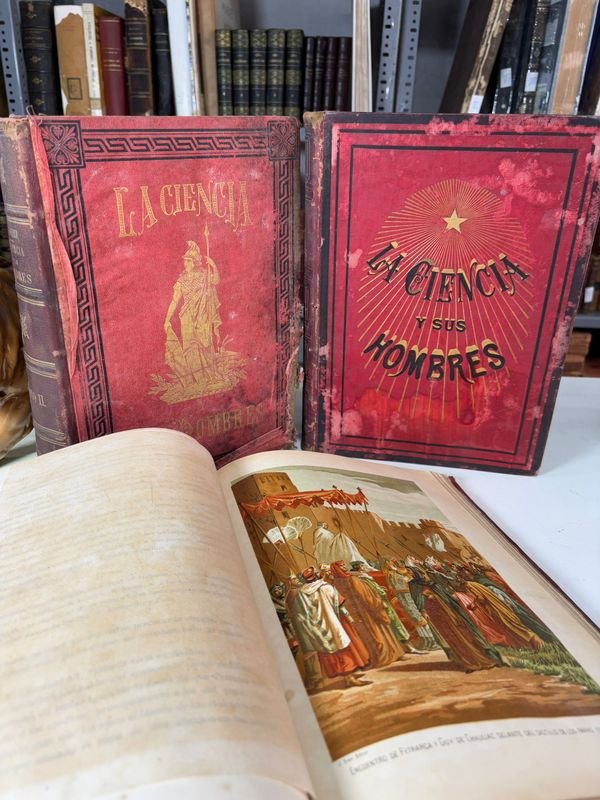 Item 879452 - Image 4