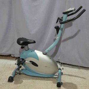 Bicicleta Fija Winner para Entrenamiento en Casa - imagen 2
