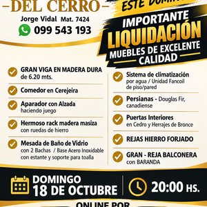 Lote anterior: Afiche "Remate del Cerro" con Liquidación de Muebles y Electrodomésticos