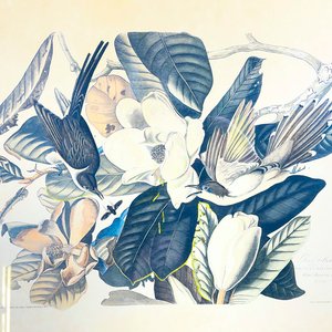 Cuadro "Black billed Cuckoo" Flores y Aves, 1937 - imagen 2