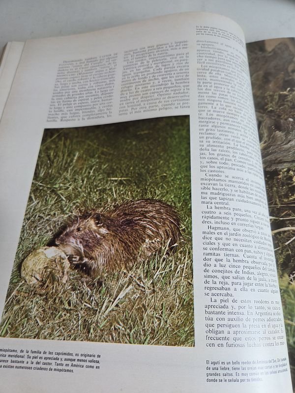 Cuatro enciclopedias de animales en buen estado - imagen 8