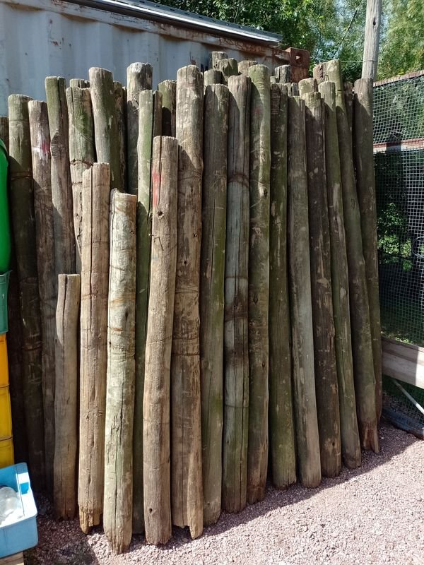 Postes de madera tratada usados para construcción