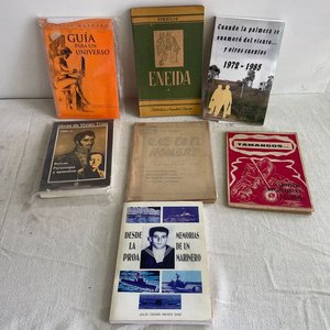 Lote siguiente: Lote de Novelas Antiguas y Modernas de Colección