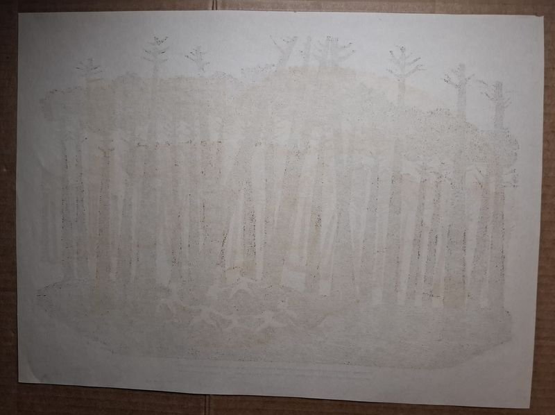 Item 859484 - Image 1