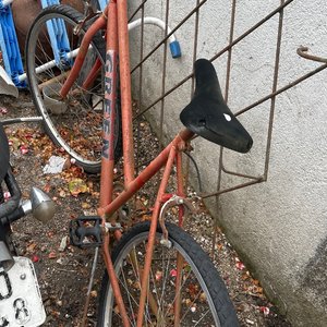 Lote siguiente: Bici