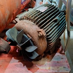 2 Motores Eléctricos Trifásicos Eberle 7.5 Kw / 10 HP - imagen 4